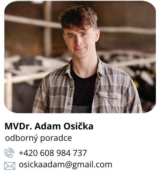 KONTAKT Adam Osička_3